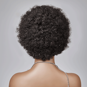 13x4 Dentelle Boucle Afro 5 Couleur Bob Perruque Cheveux Tressés